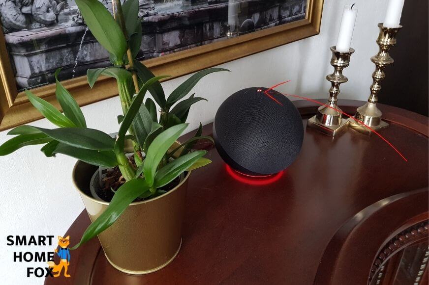 Alexa Echo steht auf einem Schrank und das Licht leuchtet rot